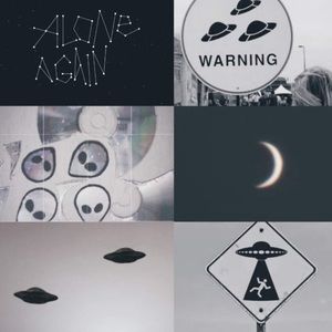 Meet your Posher, Queen